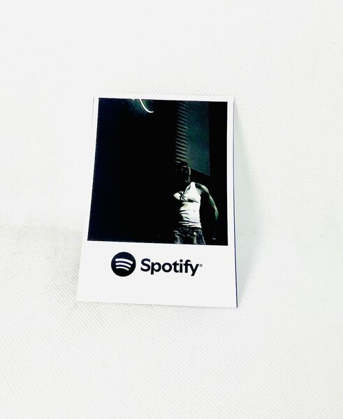 Impressions 10 Polaroid