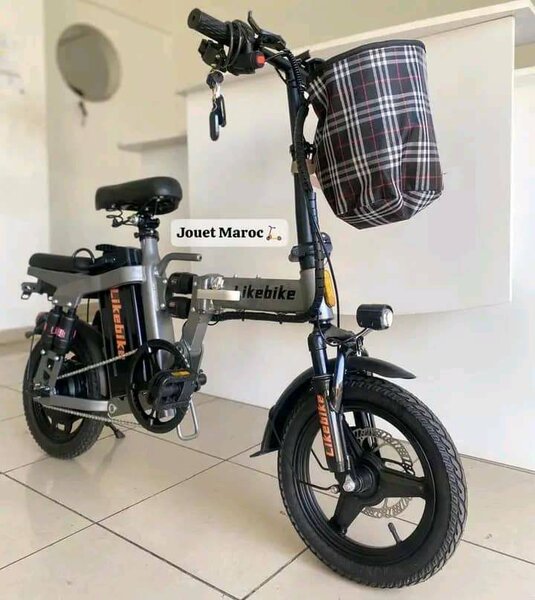 Vélo électrique pliant