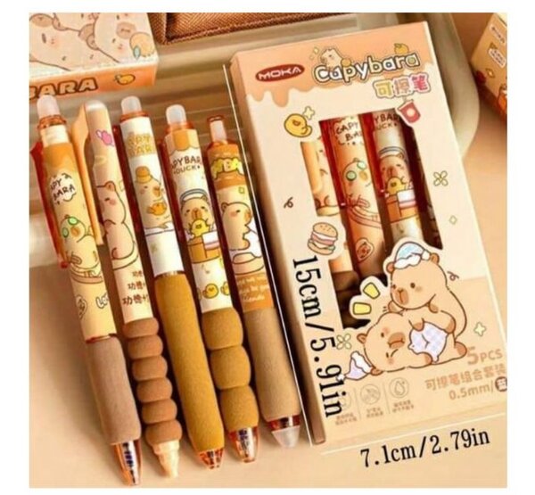 Stylo  Effaçable