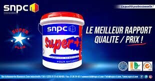 Peinture Bâtiment SNPC 30KG