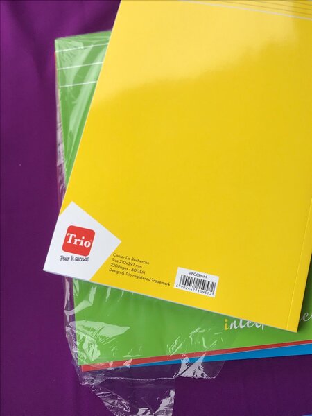 Cahier de Recherche 220 Pages