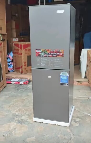 Réfrigérateur moderne 220L