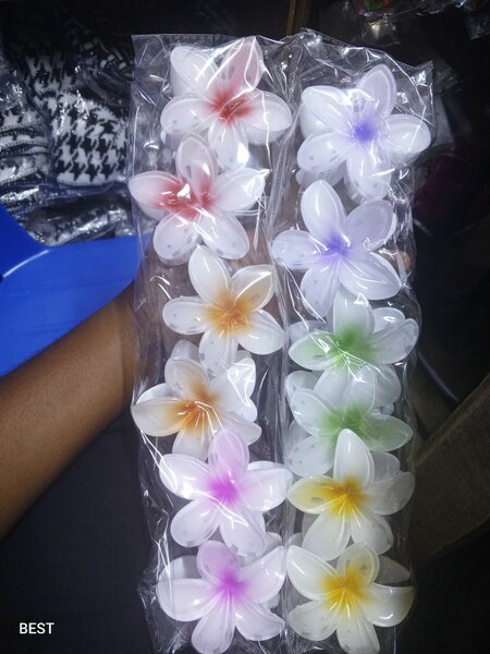 Hair clip