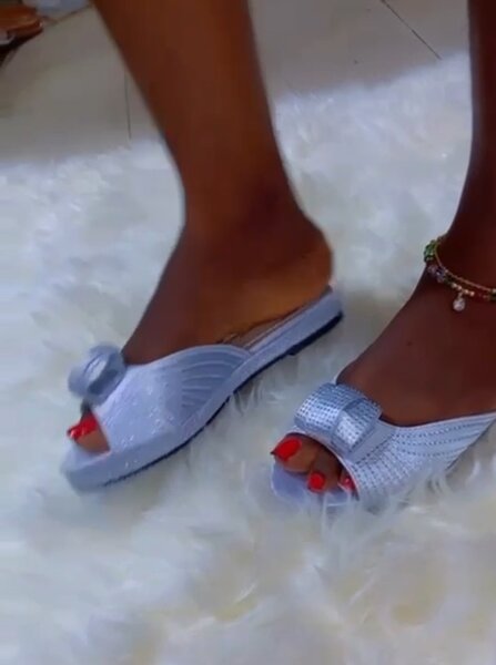 Ladies elegant slippers