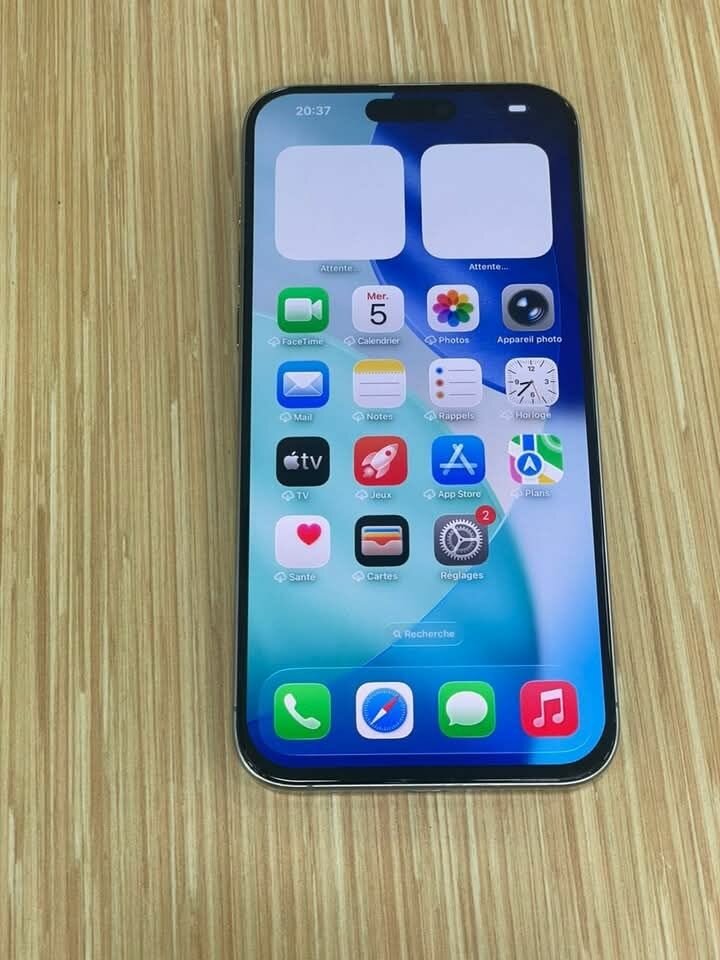 iPhone Pro 256 Go Gris