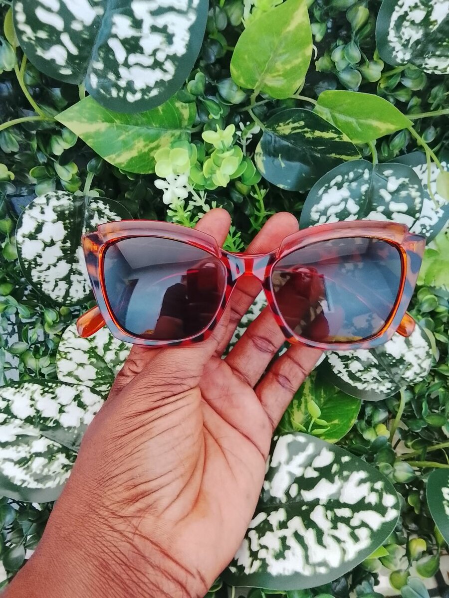 Lunettes de Soleil Tendance