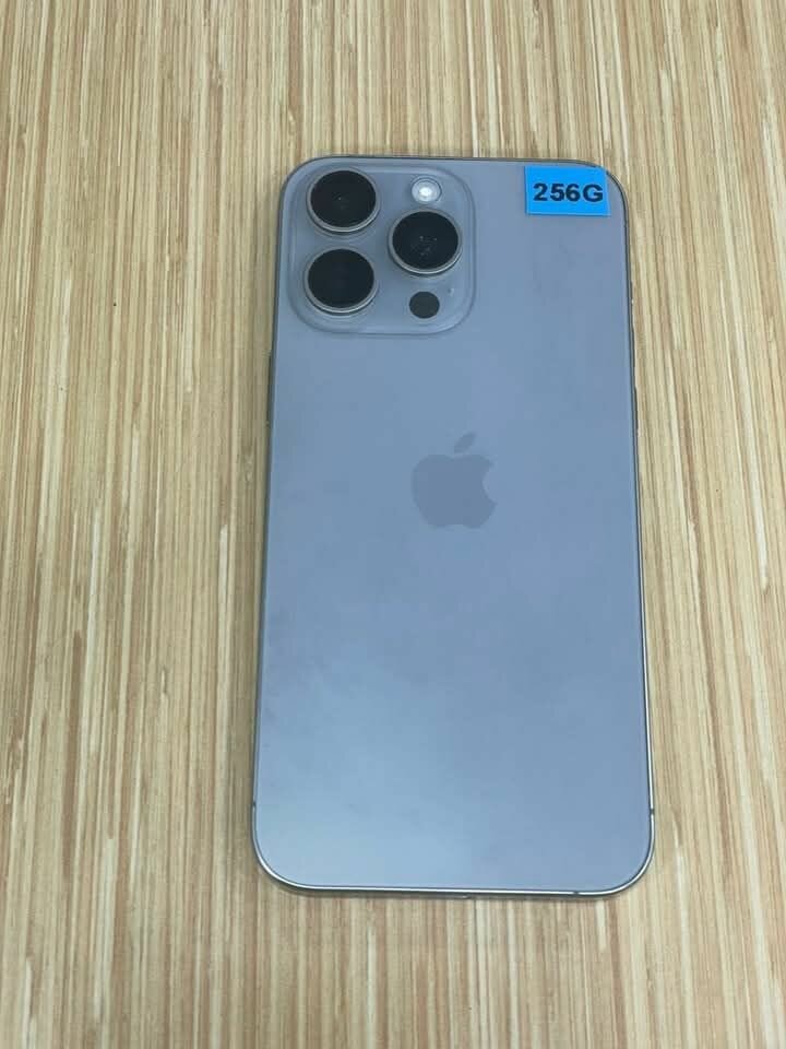 iPhone Pro 256 Go Gris