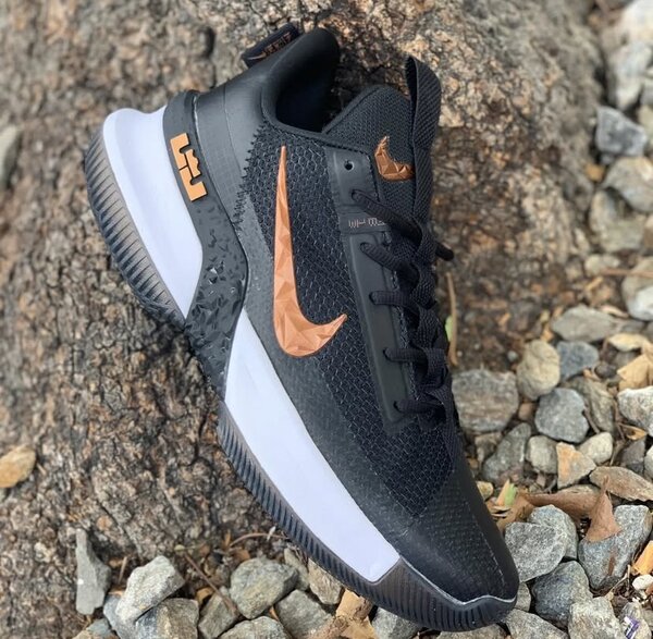 NIKE LEBRON AMBASSADOR 13 ( avec la boîte)