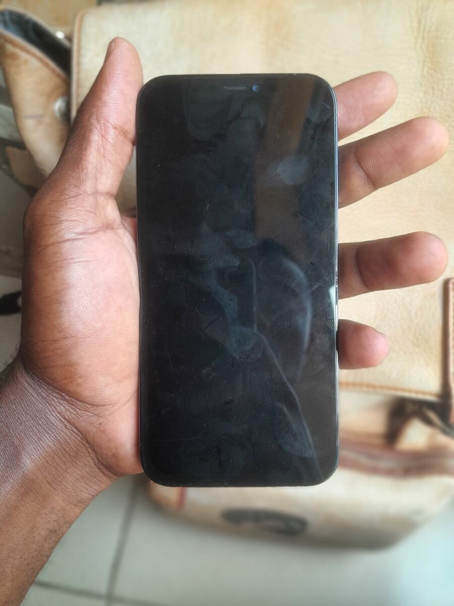 12 Pro 128GB pb daffichage