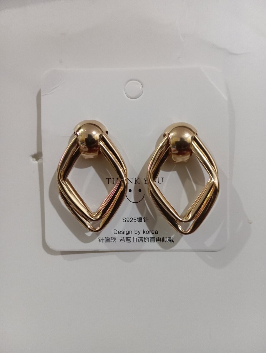 Stainless steel Plate Earrings