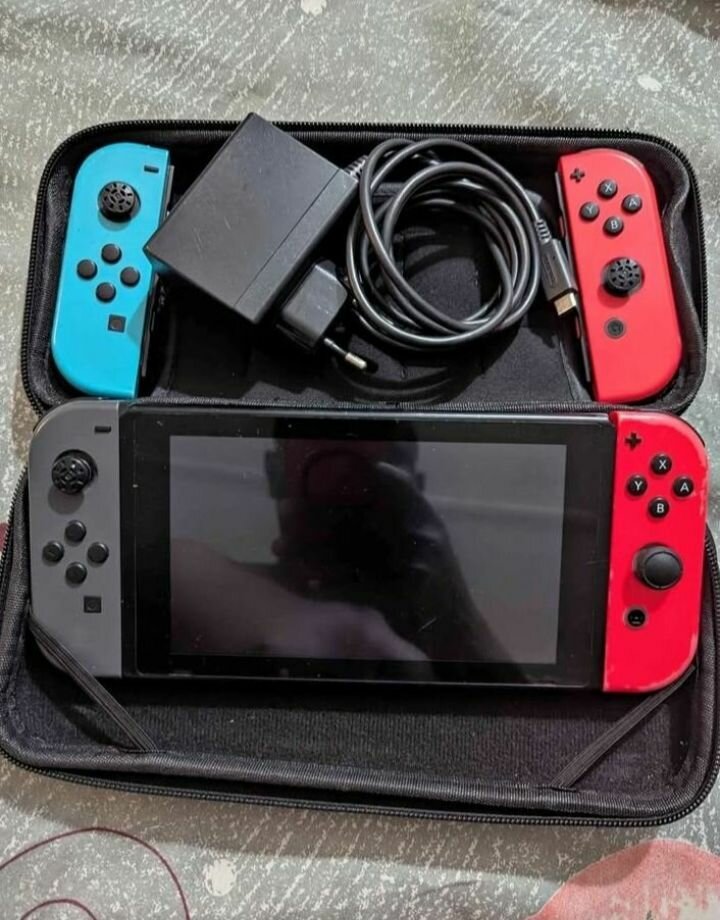 Nintendo Switch Portable