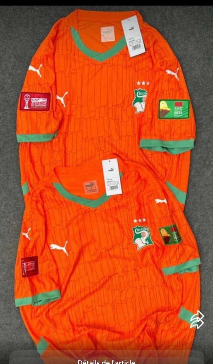 Maillot Côte d'Ivoire Puma