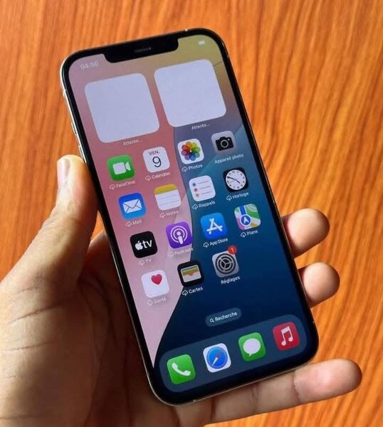 iPhone 12 Pro Max 256GB