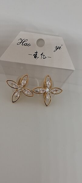 Boucles d'oreilles élégantes ASM