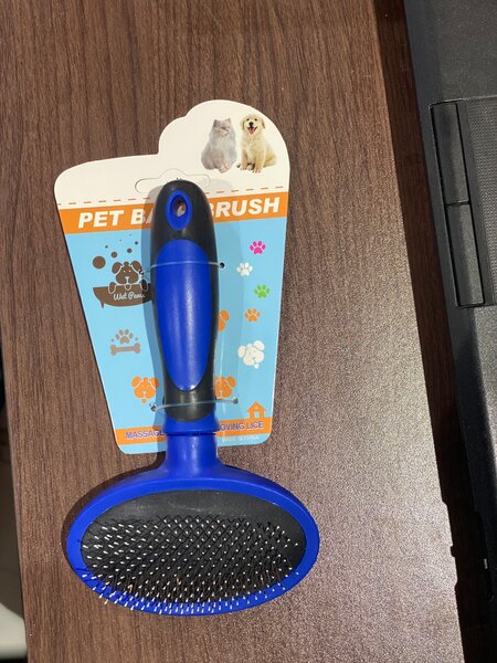 Brosse pour animaux de compagnie