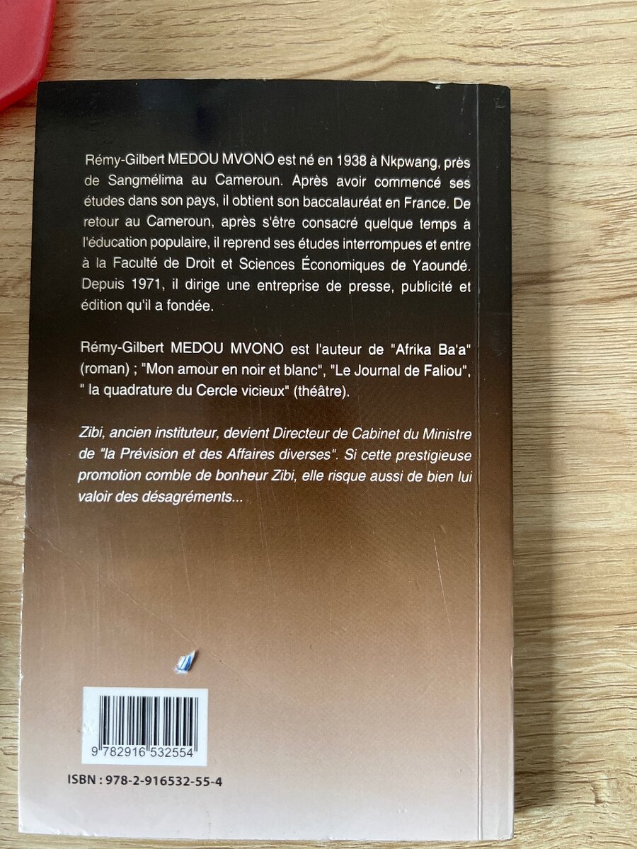 Les Enchaînés - Roman captivant