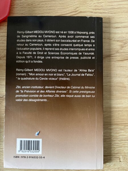 Les Enchaînés - Roman captivant