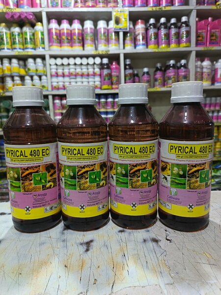 Insecticide Pyrical 480 EC