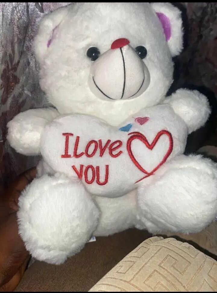 Ours en peluche avec cœur