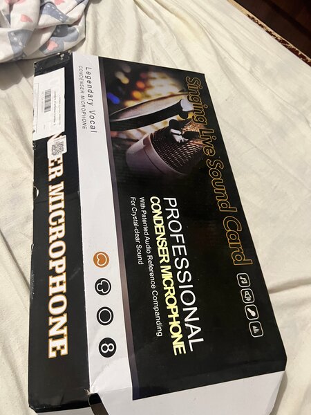 Microphone à Condensateur Pro