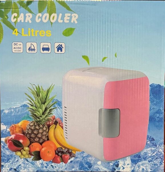 Car cooler