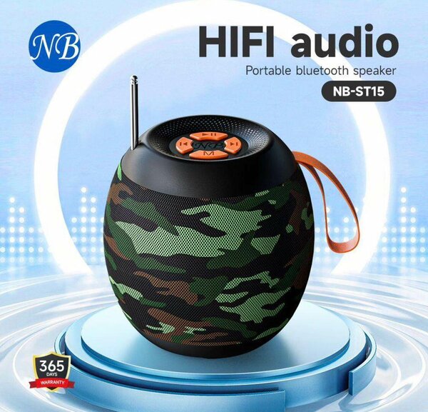 Enceinte Bluetooth Portable HiFi