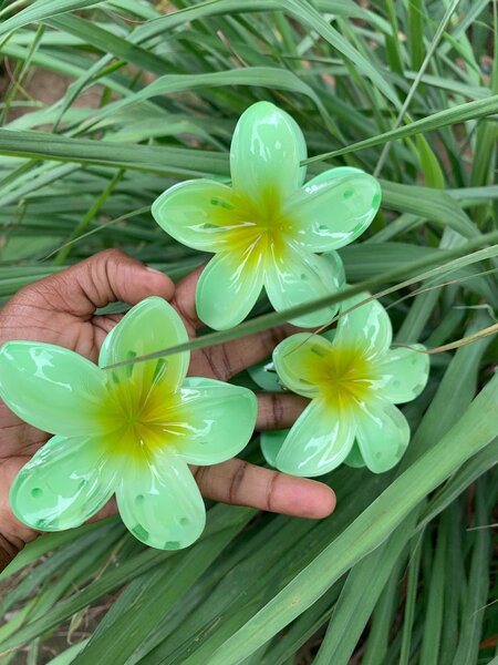 Pinces à cheveux fleuries