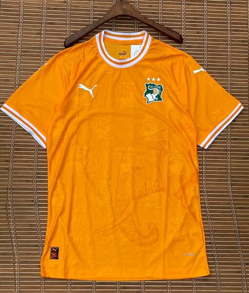 Maillot côte d'Ivoire