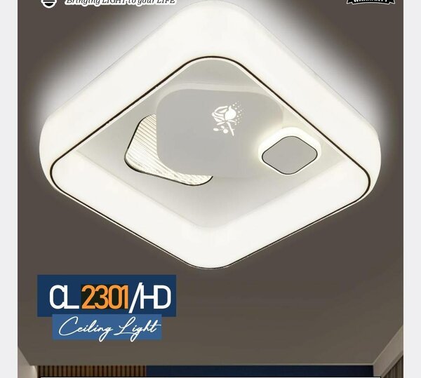 Decorative Ceiling light