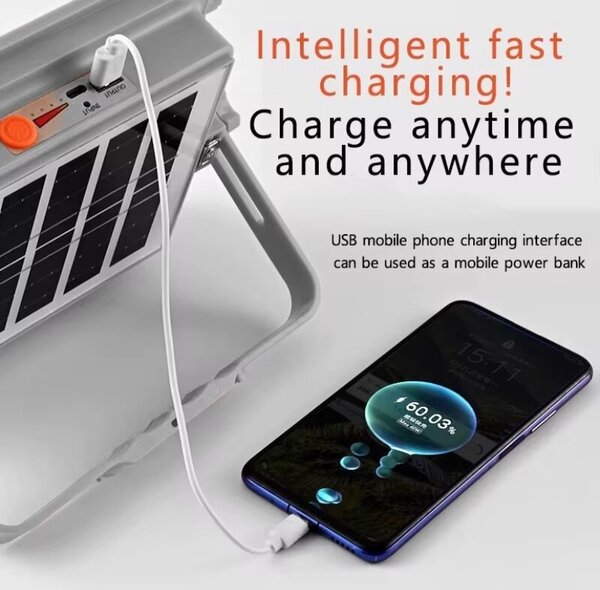 Projecteur solaire LED IP66