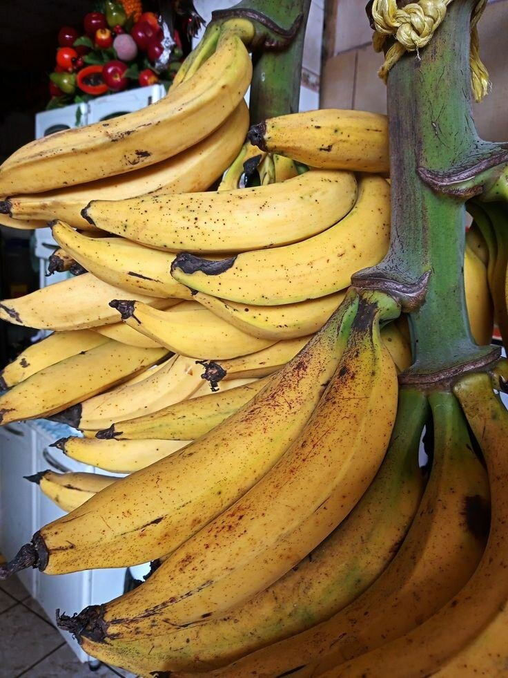 Fresh Organic Plantains