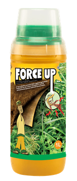 Force Up