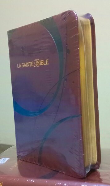 Bible louis Segons