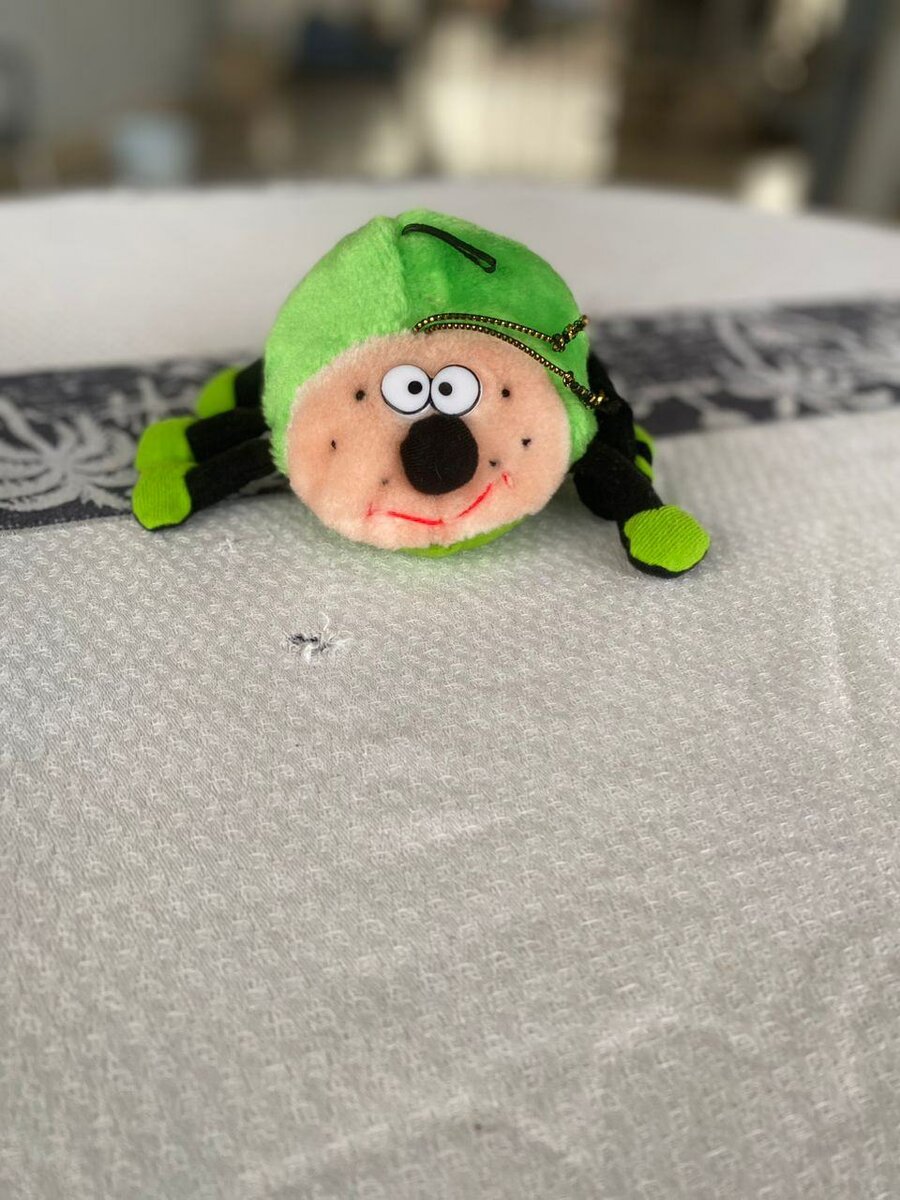 Peluche animal coloré