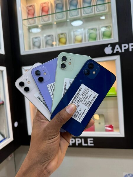 iPhone 12 cassi neuf