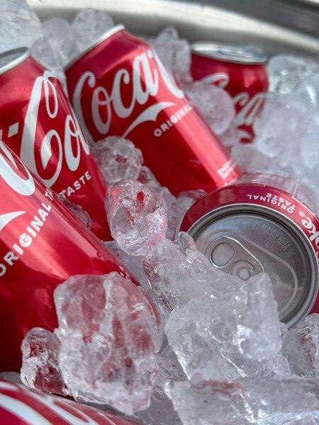 Coca-Cola Boisson 33cl