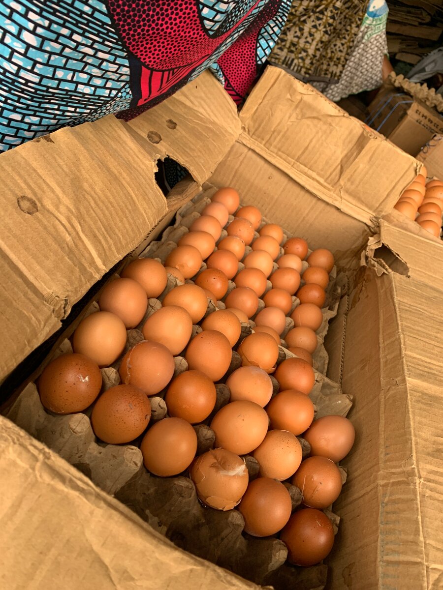 Œufs frais de ferme bio