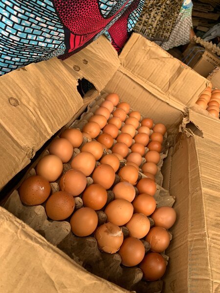 Œufs frais de ferme bio
