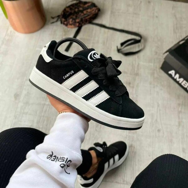 Baskets Adidas Campus colorées