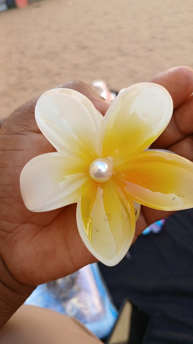 Broches florales en résine colorée