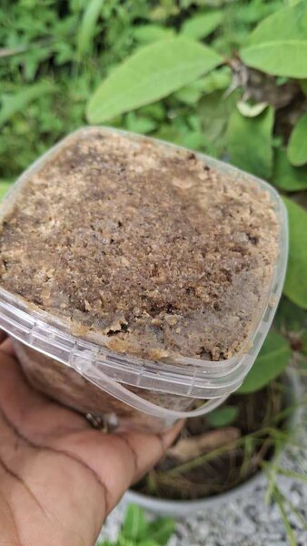 Savon Noir Brut Ivoirien 500G