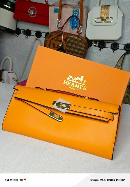 Élégant sac en cuir coloré