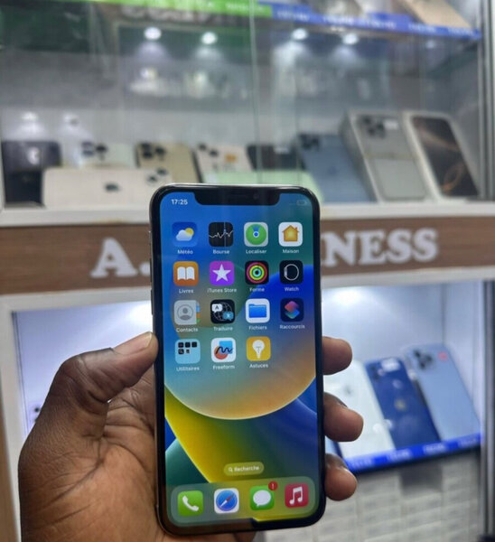 iPhone X - État Excellent