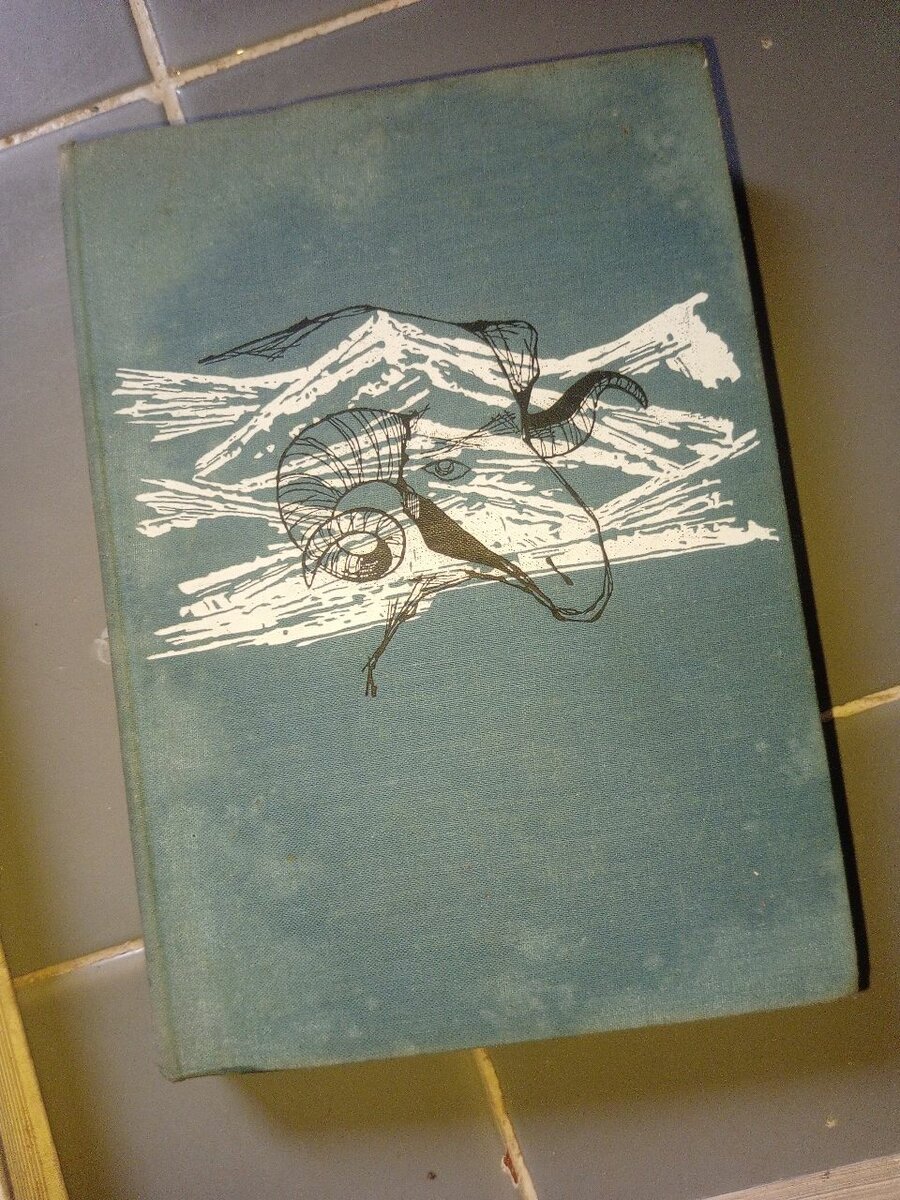 Roman a image (Monténégro)