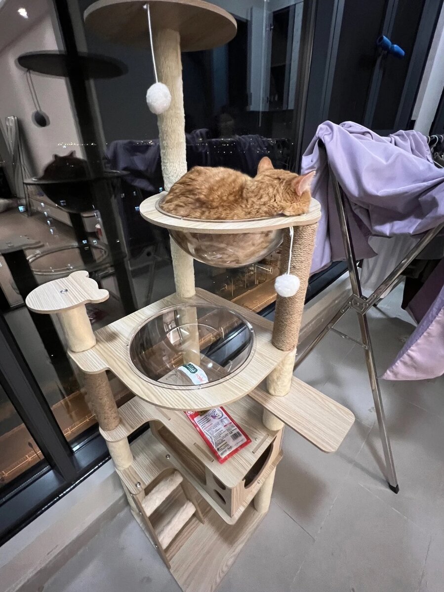 Домик для кошек