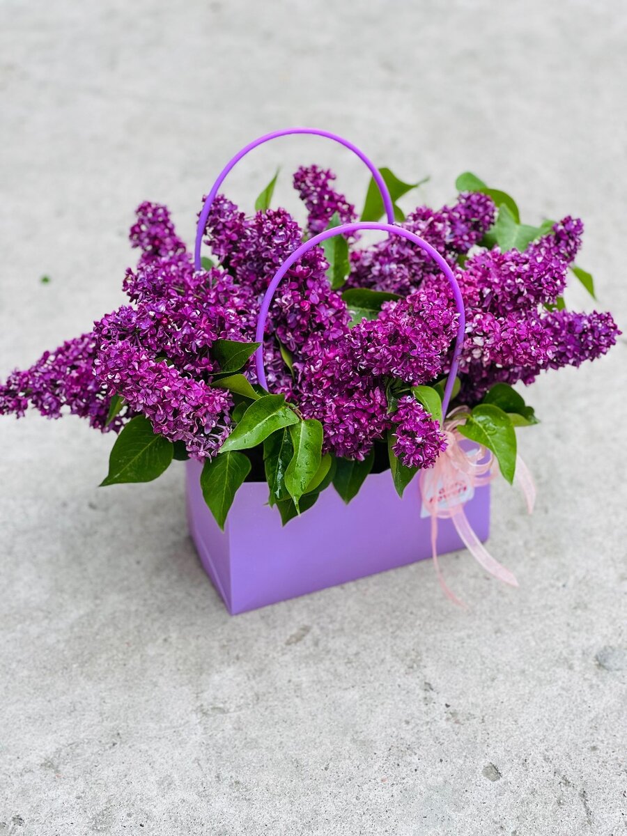 Композиция в сумочке