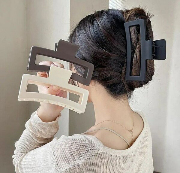 Barette cheveux