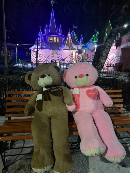 Большие мишки, бесплатная доставка по Бишкеку