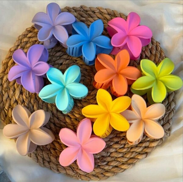 Pince à cheveux fleur multicolore
