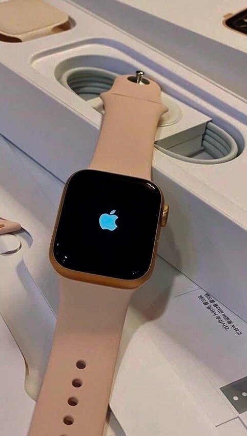 Apple Watch (lux copy)